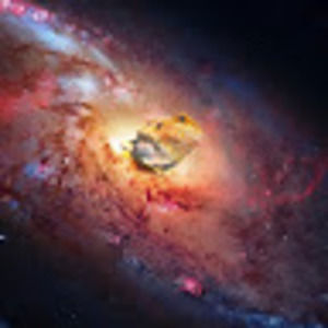 Meet your Posher, Arthur